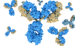 COVID-19 Biopharmaceutical Characterisation